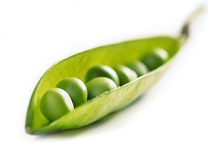 Beans And Peas Vegetables Crop Frozen - Nutrition And Diet Therapy [book] (448x390)