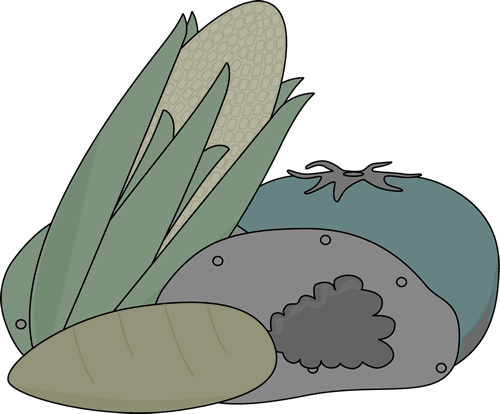 Frozen Vegetables - Hygiene (500x414)