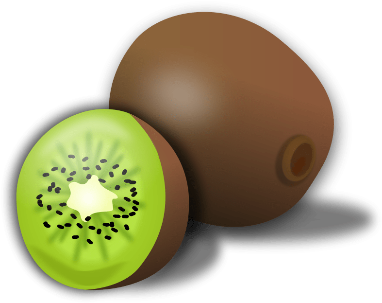 Kiwi Fruit Clipart (800x636)
