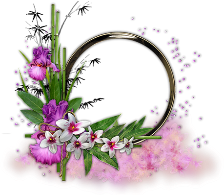 Explore Picture Frames, Clip Art, And More - Transparent Png Cadre Tubes (500x423)