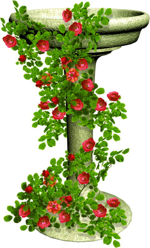 Happy Rose Day (485x800)