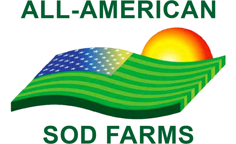 Fall Is The Best Time To Get Rid Of Weeds - Tropical Cyclone (800x523)