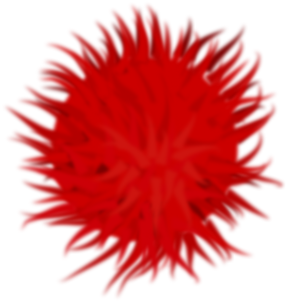 Sea Urchin (570x598)