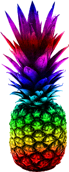 Pineapple Bookends Tumblr - Rainbow Pineapple Gif (303x750)