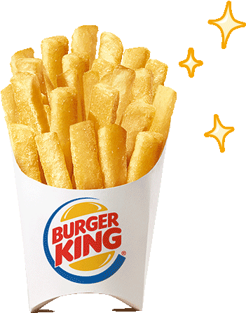 Download - Burger King Chicken Fries (500x500)