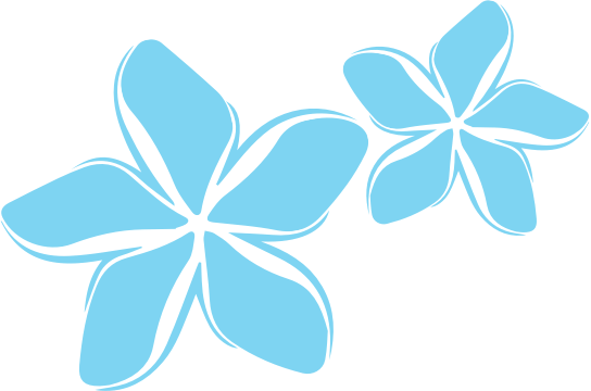 Radio531 Pi Flowers - Pacific Flowers (544x360)