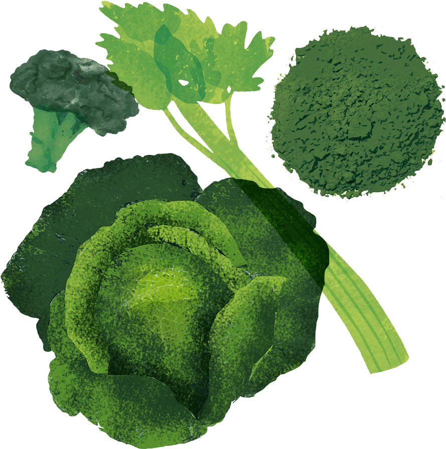 Spirulina - Broccoli (1000x1000)