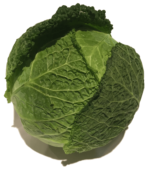 Great For Veggies And Vegans Messages Sticker-4 - Iceburg Lettuce (618x618)