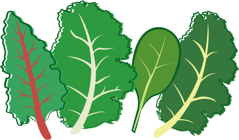 Herb Leaf Vegetable Plant Stem Seed - Home Farmer Super Greens Seed Kit (1000x500)