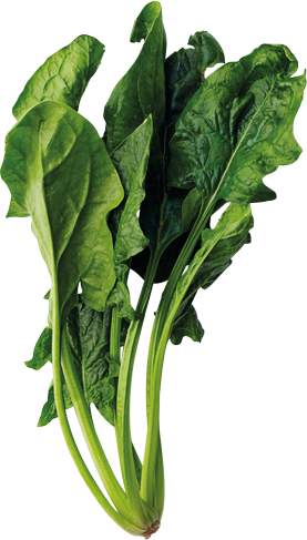 Shrimp, Cream Cheese, Spinach, Onion And Garlic - Chard (277x487)