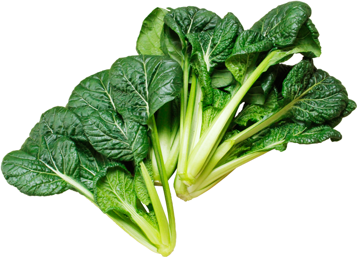 ちりめん美緑 - Leaf Vegetable (700x550)