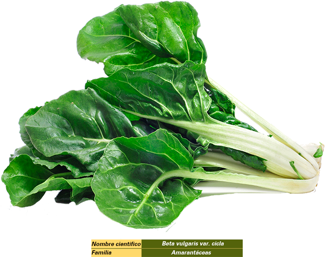 Acelga - Difference Between Swiss Chard And Spinach (800x533)