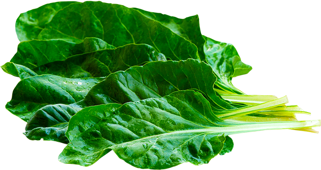 Blitva Svježa Blitva - Chard (625x453)