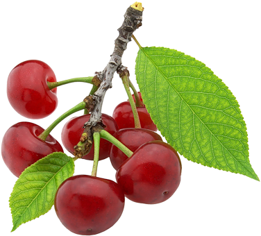 Изображение Для Плейкаста - Owoce Obrazek Bez Tła (500x444)