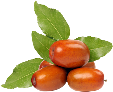 Jujube - Rose Hip (400x400)