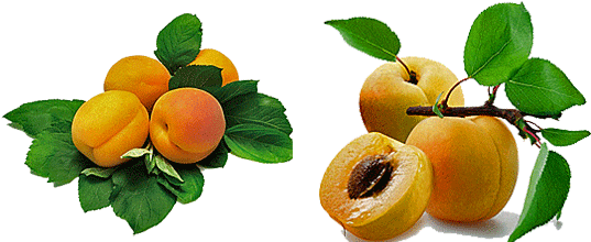 Apricot Fruit Benefits (550x219)