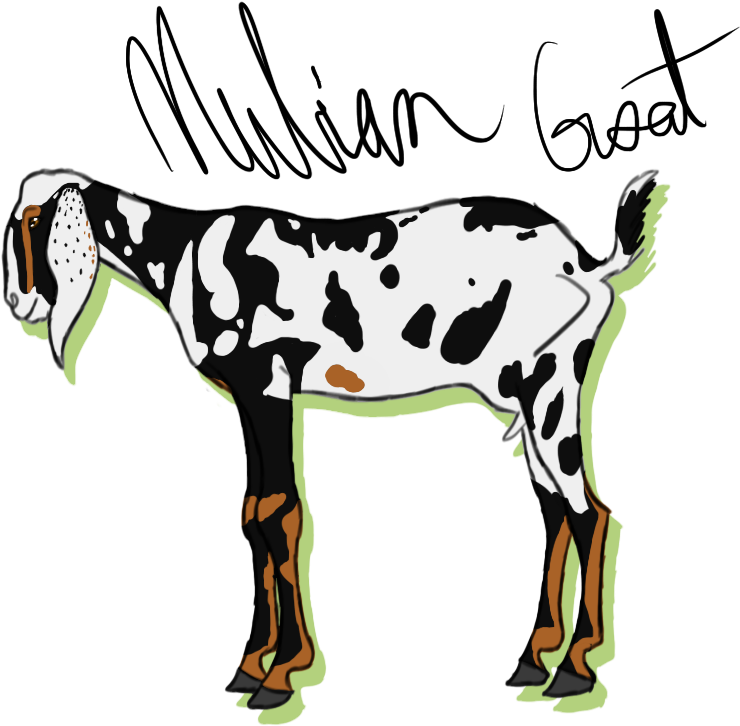 Nubian Goat By Spotted Tabby Cat - Nubian Goat By Spotted Tabby Cat (777x760)