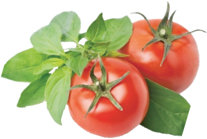 Who We Are - Lunch Napkins Garden Tomatoes (448x285)