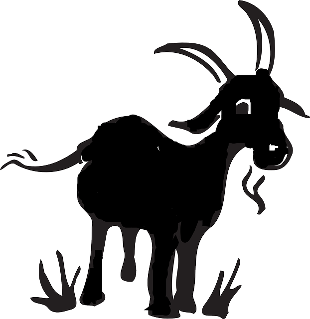 Legend's Creek Farm Goat Milk Lotion (622x640)