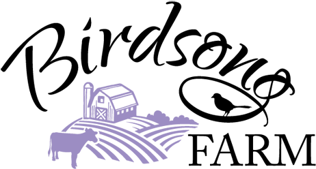 Birdsong Farm Logo - Wall Decor Plus More Wdpm3337 Dream Big Little One (500x260)