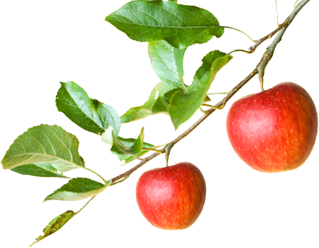 Oriente, Dall' Egitto Fino In Grecia - Robbert Dijkgraaf De Junior Bèta Canon (458x356)