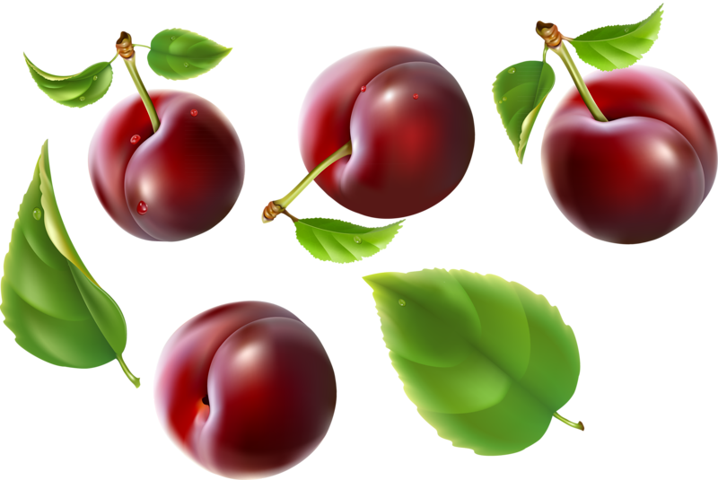 Tubes Fruits & Légumes - Cherry (800x535)