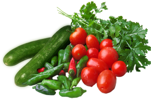 استفاده از سامانه های گرمایش تابشی در گلخانه ها - Parsley (501x370)