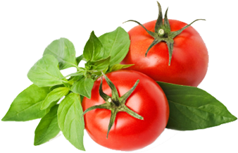 Partner - Ksev 2 Set Of 8.5" Tortilla Warmer Keeper Plastic With (594x216)