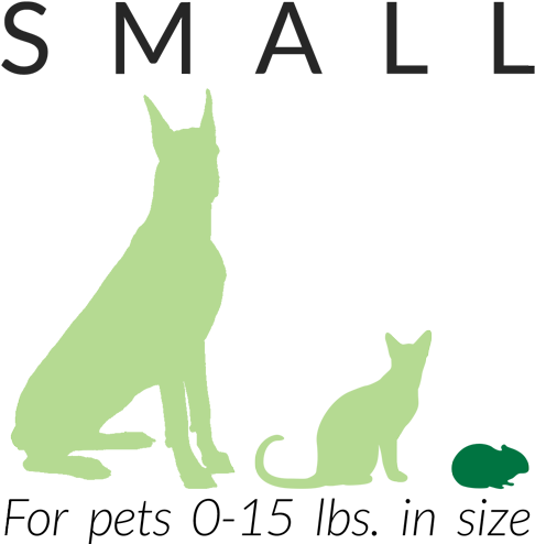 Small Biourn For Evergreen Trees - Chaoyangsaurus (500x500)