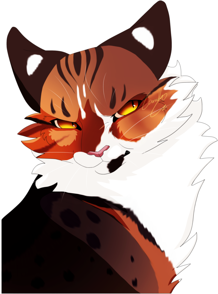 Donate - Cat Yawns (786x1017)