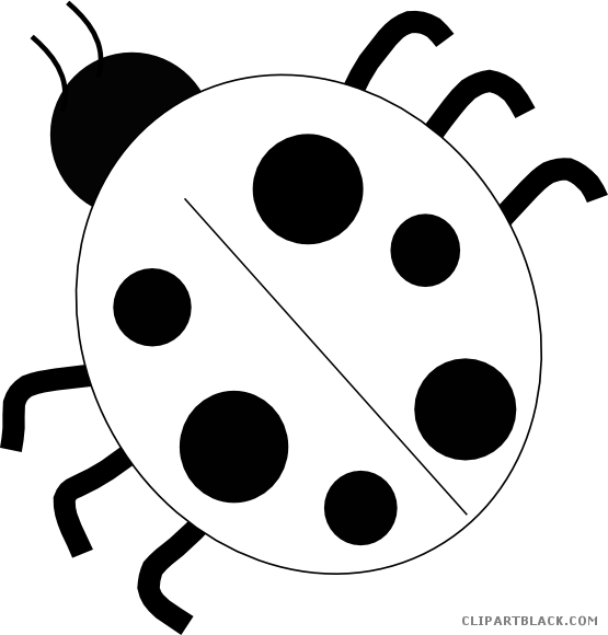 Ladybug Outline Animal Free Black White Clipart Images - Lady Bug Black And White Clipart (555x580)