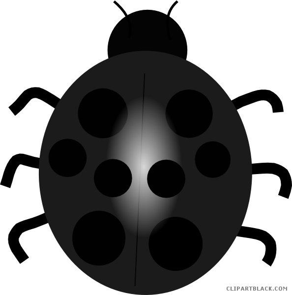 Ladybug Animal Free Black White Clipart Images Clipartblack - Blue Lady Bug Clip Art (594x600)