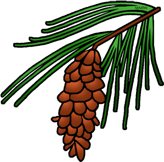 Pine Cone Tree Clipart (357x360)