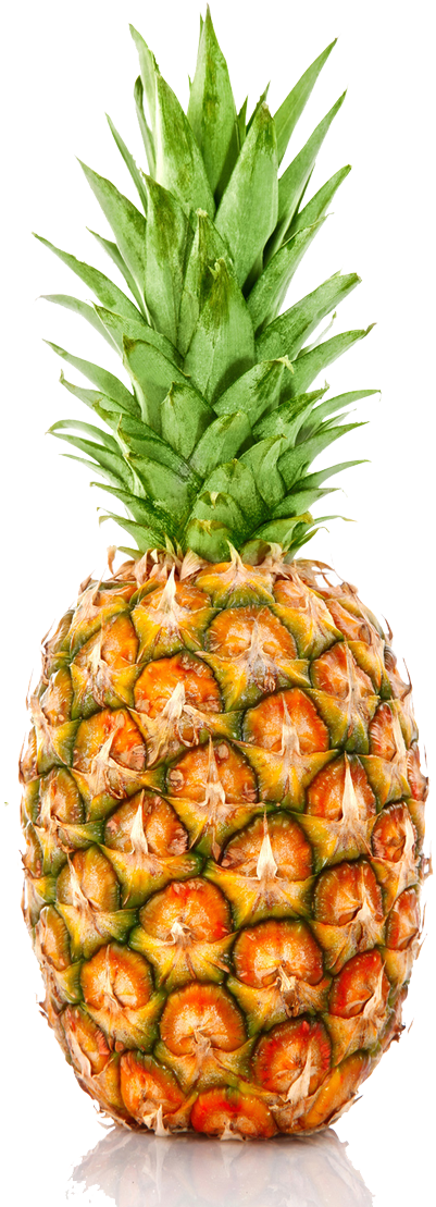 Kidz Bop On Twitter - Individual Fruit And Vegetables (1200x1125)