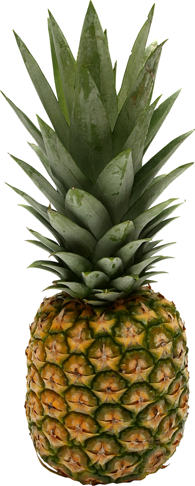 Pineapple Png - Small Pics Of Pineapples (643x1600)