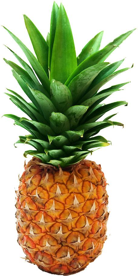 Pineapple Sweet And Sour Hawaiian Pizza Salsa - Pineapple Png (683x1024)