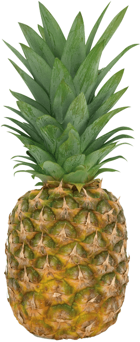 Ja 1518 D - Fresh Pineapple (720x720)