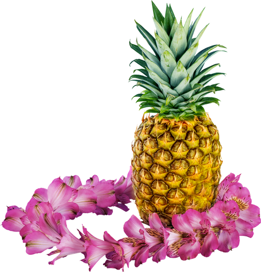 Hawaiian Pineapple - Stock Photography (527x550)