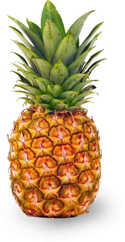 The Liberty Travel Way - Pineapple Small (909x921)