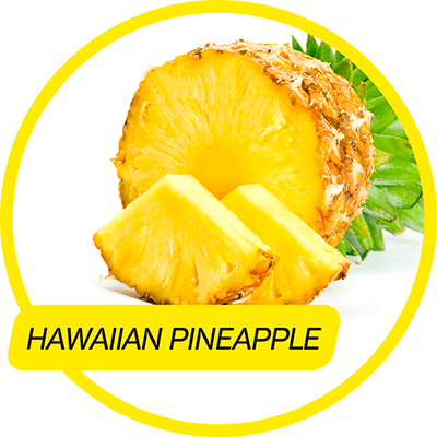 Description - Enzymes: The Missing Link To Health [book] (400x400)