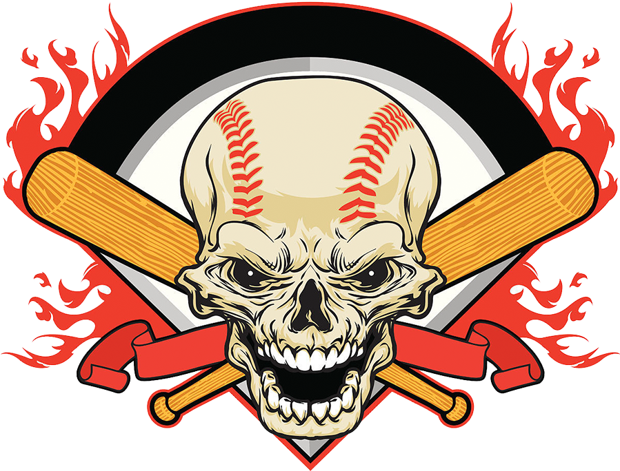 Baseball Bat Skull Euclidean Vector - Skull Head (900x900)