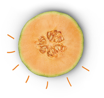 Cantaloupe Clipart Honey Dew Melon - Honeydew (417x407)