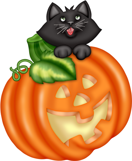 Thank You Linda For The Bleach And Bird Seed - Jack-o'-lantern (510x575)