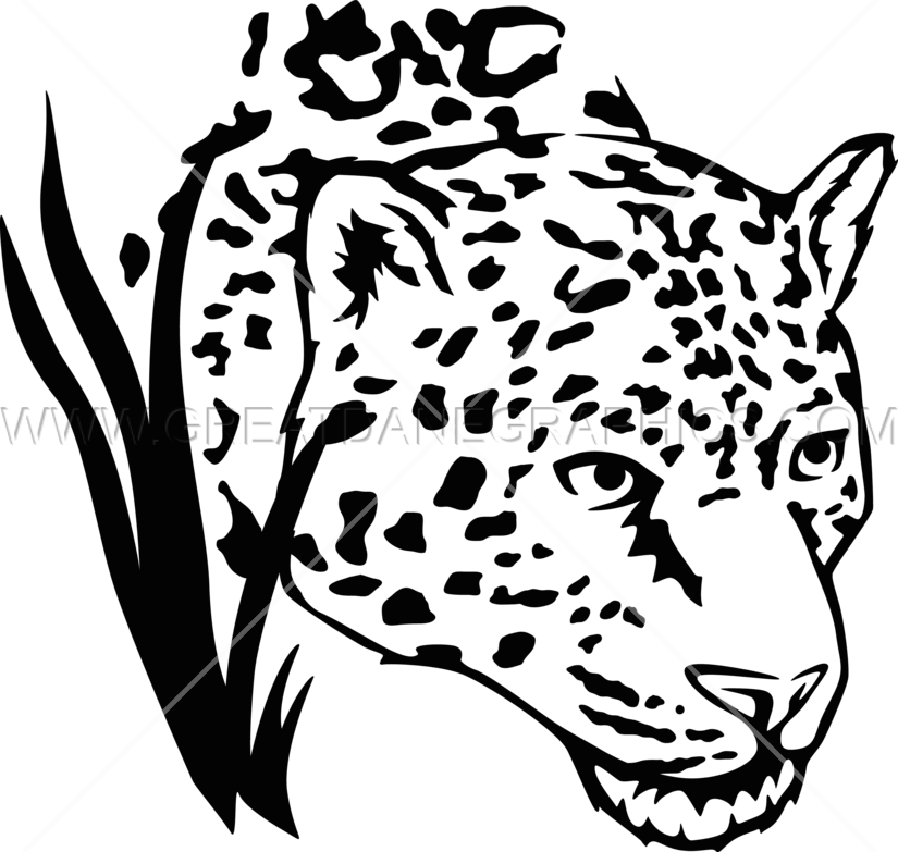 Jaguar In Grass - Jaguar Black And White Png (825x783)