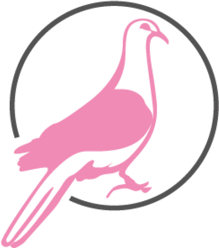 Conservation Blog - American Mourning Dove (512x512)