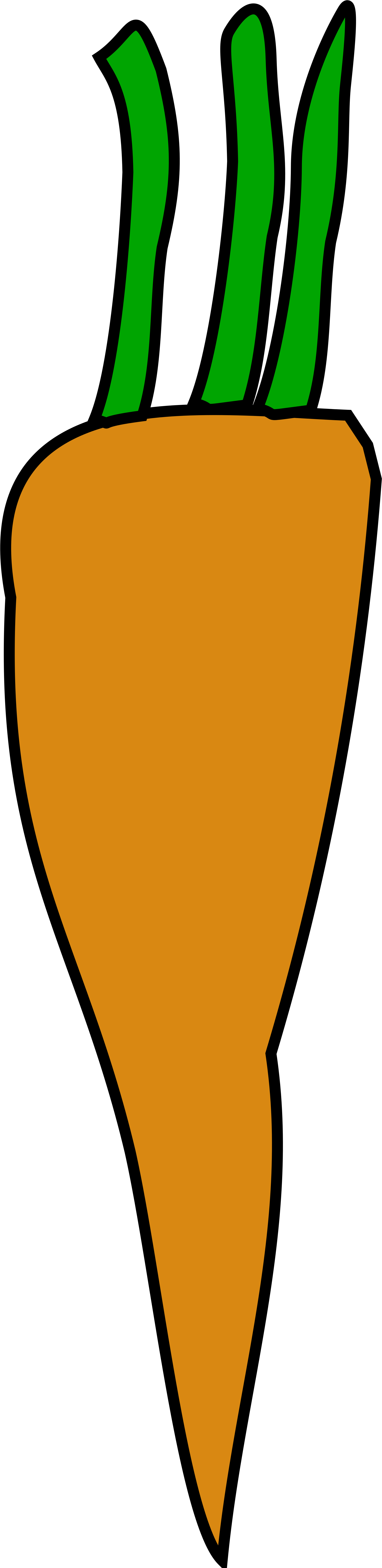 Carrot Clip Art 19, Buy Clip Art - Sketch (2000x8164)