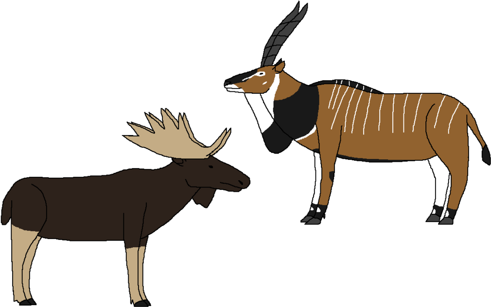 Non-buffalo Ruminants By Wildandnaturefan - Burro (1024x642)