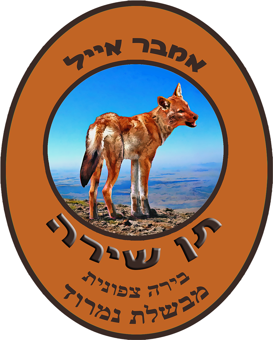 Singing Jackal Amber Ale - Gesangjackal-bernstein-ale Grußkarte (983x1200)