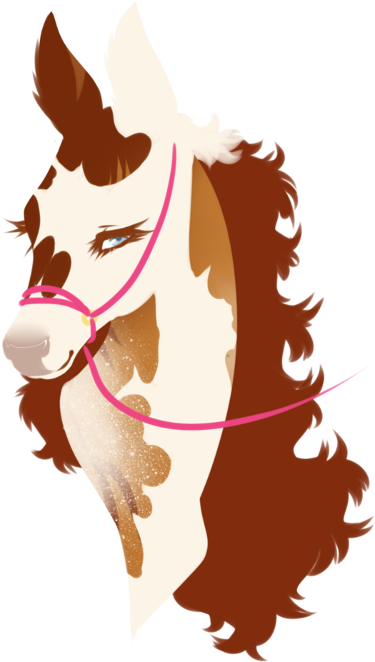 Nos Jacella - Illustration (786x1016)