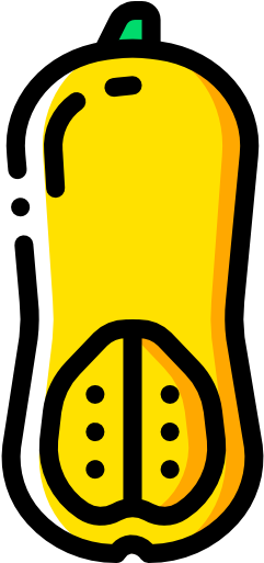 Butternut Squash Free Icon - Butternut Squash Free Icon (512x512)